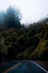 Panorámica vertical de la carretera en una montaña con bosque y árboles por encima con niebla en la ladera bajando a la calle en época de otoño e invierno