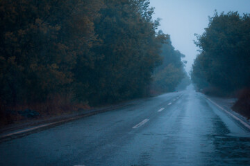carretera larga y recta despejada sin autos mojada por la lluvia en día nublado de invierno con árboles a los costados con una neblina en el camino