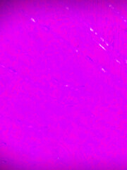 Vertical social template for backgrounds web banner posters and your creative design works etc