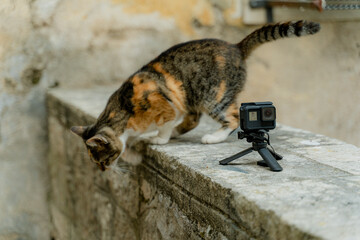 Obraz premium Action camera. The action camera stands on a tripod and shoots.