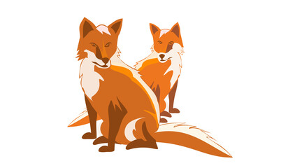 Two fox a white background.