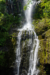 Obraz premium waterfall in the forest
