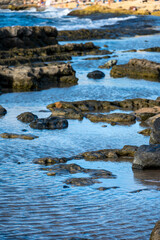 stones in water