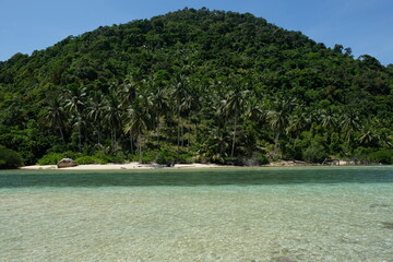 Indonesia Anambas Islands - Beach scenery with palm trees
