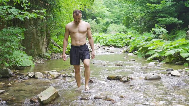 A man in slippers walking on a stream in the forest.
Man walking by stream in untouched nature. There are large-leaved plants and trees.
