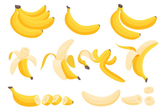 Set of bananas. Tropical yellow fruits. Peeled, cut, banana peel. Vector illustration