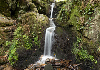 Altersbacher Wasserfall in der Nähe von Waldkirch im Schwarzwald