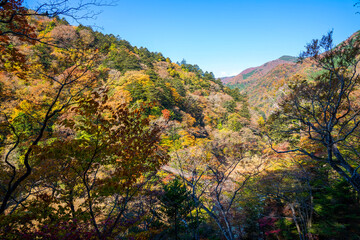 那須塩原の紅葉