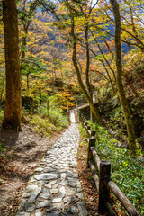 那須塩原の紅葉