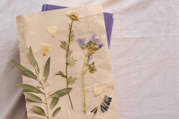 Sheet of paper with dried flowers and leaves on white fabric, top view. Space for text