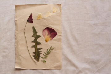 Sheet of paper with dried petals and leaves on white fabric, top view. Space for text