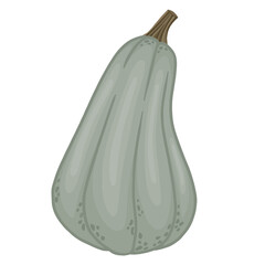 Detailed pumpkin, one colorful vector pumpkin. 