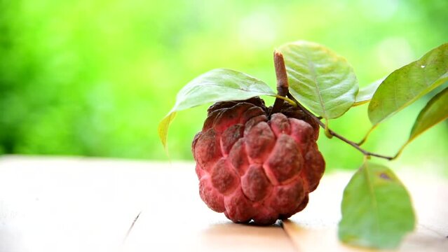 Pink custard apple on the wood plate