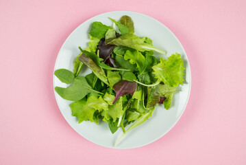 lettuce leaves mix, mixture of greens in a white plate on a pink background. healthy food snack open