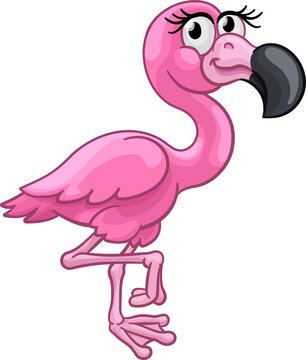A pink flamingo bird animal cartoon character illustration