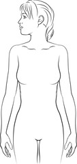 A human physiology woman body front anatomy outline medical diagram