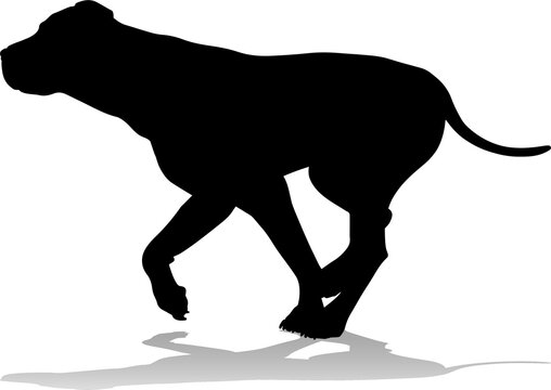 A detailed animal silhouette of a pet dog