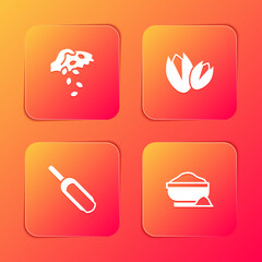 Set Seed, Pistachio nuts, Scoop flour and Flour bowl icon. Vector