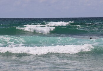 surfing the waves