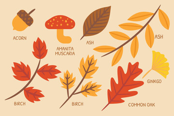 Autumn illustration for website, application, printing, document, poster design, etc.
