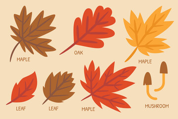 Autumn illustration for website, application, printing, document, poster design, etc.