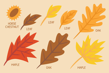 Autumn illustration for website, application, printing, document, poster design, etc.