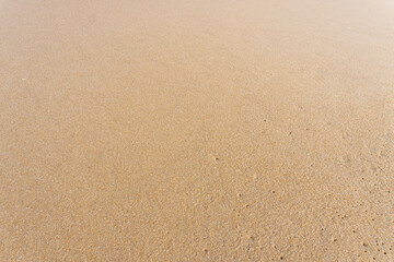 Fototapeta na wymiar close-up texture of sand 