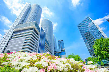 名古屋市　名古屋駅前の高層ビル群と満開のツツジの花