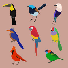 set of birds