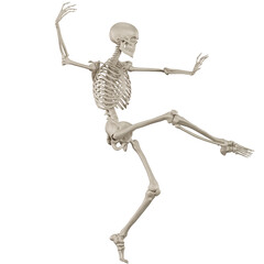 skeleton posing 3d render	
