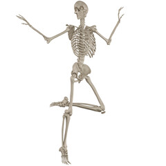 skeleton posing 3d render	