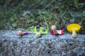 Set of gardening tools displayed side by side, outdoors on a rock and vegetation as a background. 