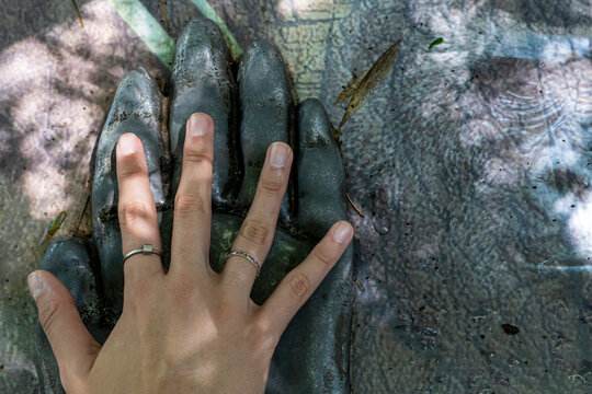 comparison of the size of a human hand to the hand of a monkey, orangutan, hand of a young woman. guadalajara