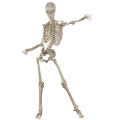 skeleton posing 3d render for 2d game asset