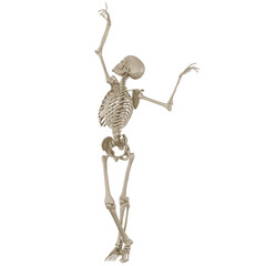 skeleton posing 3d render for 2d game asset