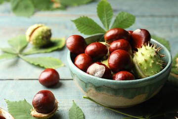 Horse chestnuts and leaves on blue wooden table