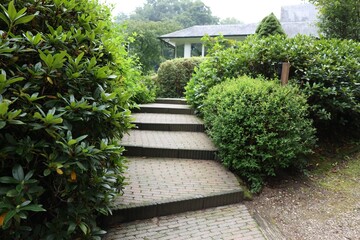 Lovely garden with green shrubbery and paved stairs. Landscape design