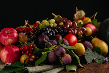 Naklejka na ściany i meble still life of autumn fruits and berries on a dark background