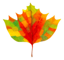 Isolated colourful autumn tree leaf, digital illustration