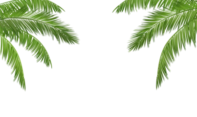 Poster Green palm leaves border isolated on transparent background © Kateina