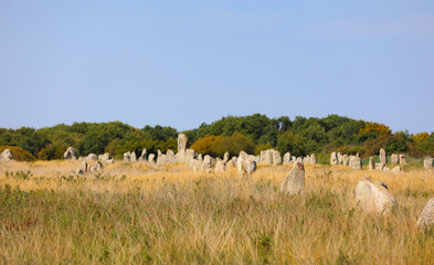 Menhirs near Carnac in Bretagne Brittany