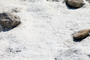 White deposits on the coast in Bretagne Brittany