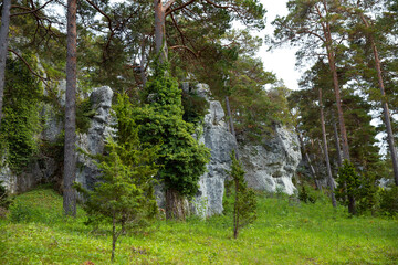 Rock mountains mixed with forest  - 529250210