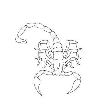 recommend clip art: Vector isolated one scorpion with claws and sting colorless black and white contour line easy drawing