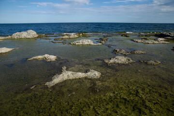Rauk on Gotland island Sweden Rocks nature reserve baltic sea  - 529252257
