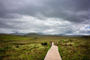 Boardwalk in the vast green landscape of Wild Nephin National park at the visitor center in...