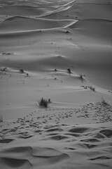 Dunes in the Sahara desert at sunrise, the desert near the town of Merzouga, a beautiful African landscape