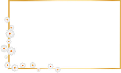 Transparent and delicate geometric polygonal golden frames