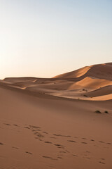 Fototapeta na wymiar Dunes in the Sahara desert at sunrise, the desert near the town of Merzouga, a beautiful African landscape