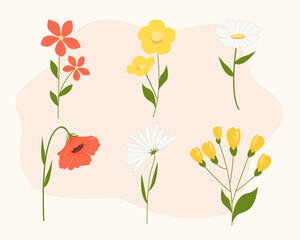 Flower floral illustration.